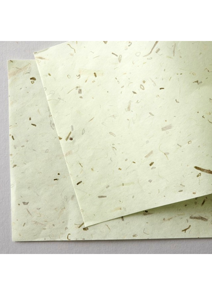 WACCA paper • 天然色系包裝和紙組合